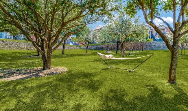 a hammock from a tree in a park