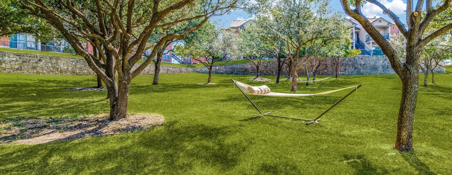 a hammock from a tree in a park