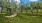 a lawn with trees and hammocks